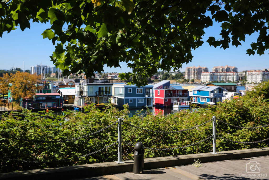 VanIsland 11 – Fotografie von Christian Nüssli